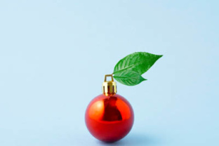 Fruity Christmas Holiday Design